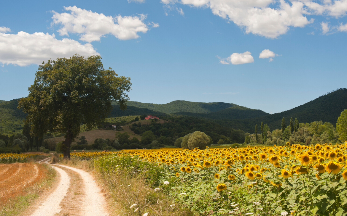 A Life in Italy